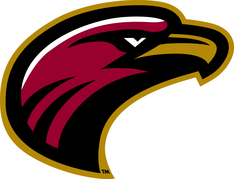 Louisiana-Monroe Warhawks 2006-Pres Alternate Logo v7 iron on transfers for clothing